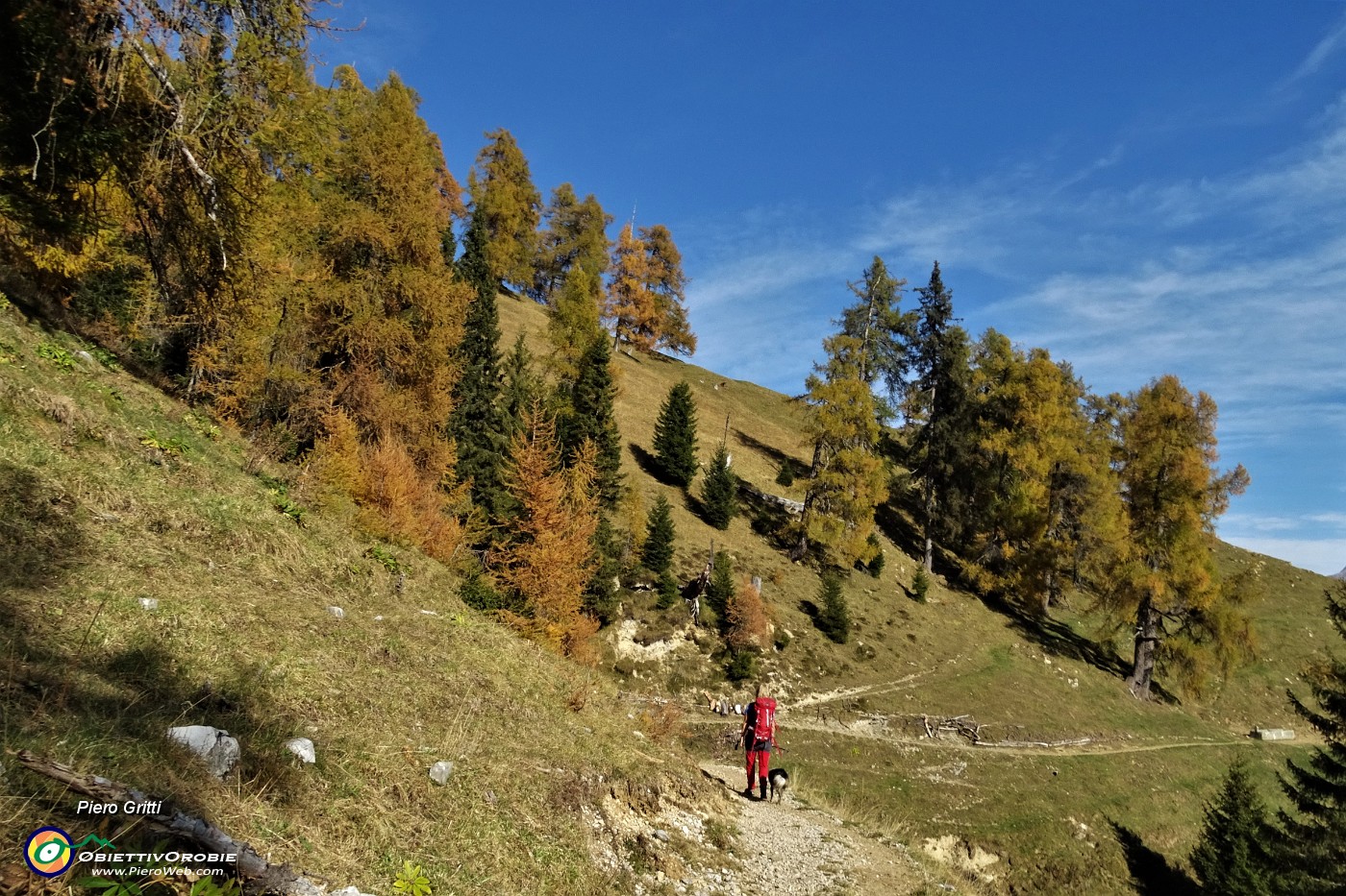 34 Esplosione dei colori autunnali sui larici.JPG